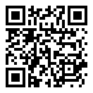 女侠小偷模拟器无限金币破解