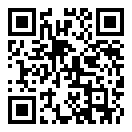 愤怒的手枪游戏安卓
