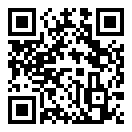 双人大作战2大作战游戏手机