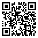 IT开发公司大亨中文版