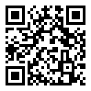 虚拟家庭4中文汉化破解