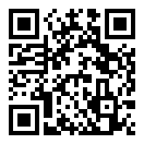 闪电泊车王手游