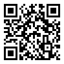 高峰时间Rush Hour手游