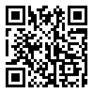 老鹰模拟飞行破解版手游