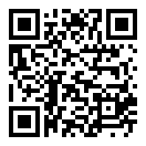 隐形守护者中文版