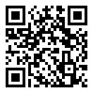 我的黑丝袜手游手游