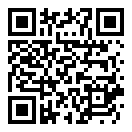 Tiny Poly游戏手游