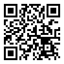 劫持飞机游戏手游