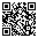 宠物骑士安卓汉化版手游