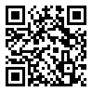 蜘蛛的麻烦游戏手游