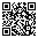 最后的快递游戏手游