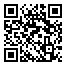 小旗游戏手柄app插件