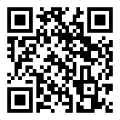 大圣车服官方下载