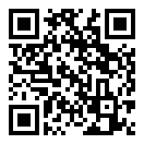 录音转文字极速版