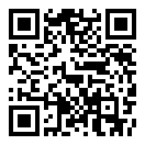 手机迅雷5.0不升级版