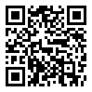 车轮查违章最新版本