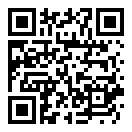 fdysans模拟器手机